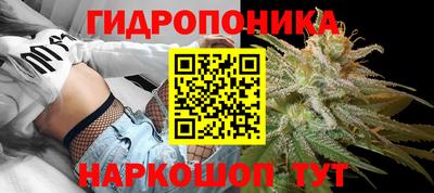 бошки Краснодар