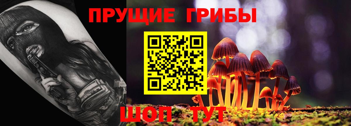 закладки  Галлюциногенные грибы GOLDEN TEACHER  Киселёвск  Вход с VPN  Галлюциногенные грибы GOLDEN TEACHER 